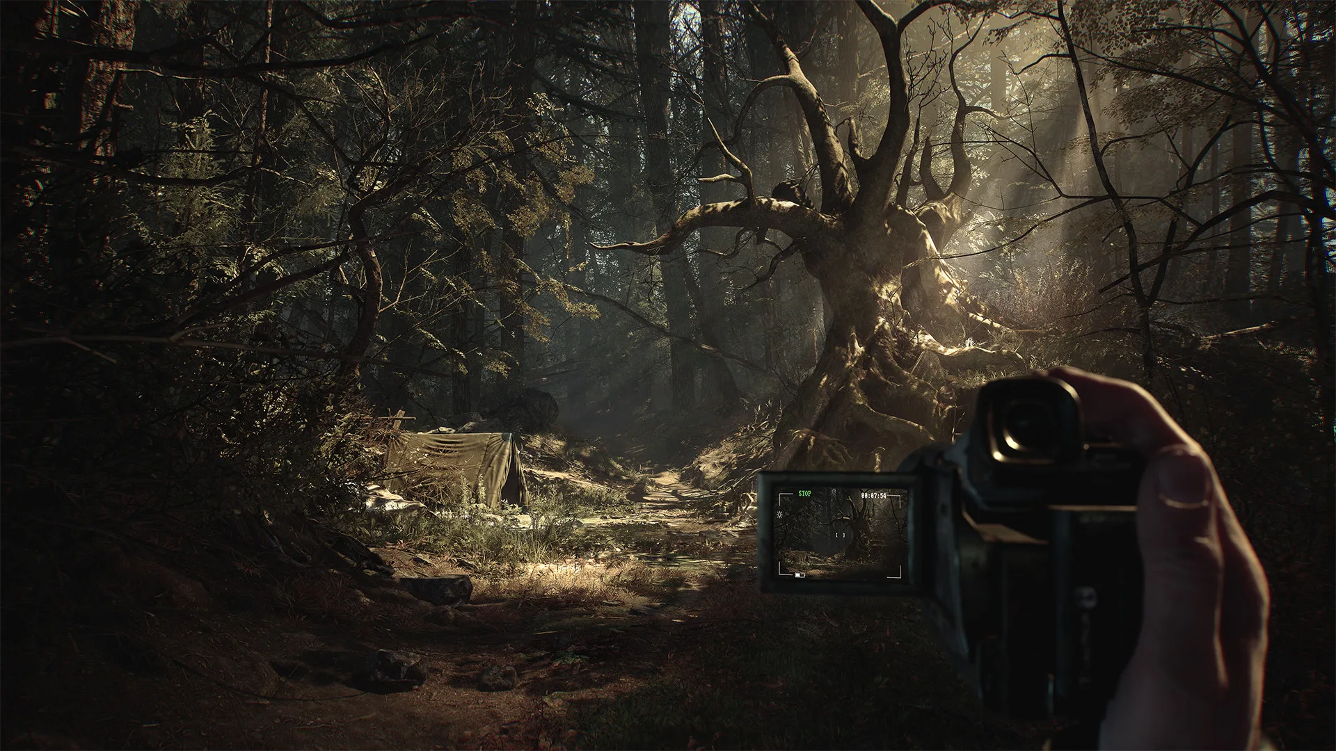 Blair Witch screenshot 1