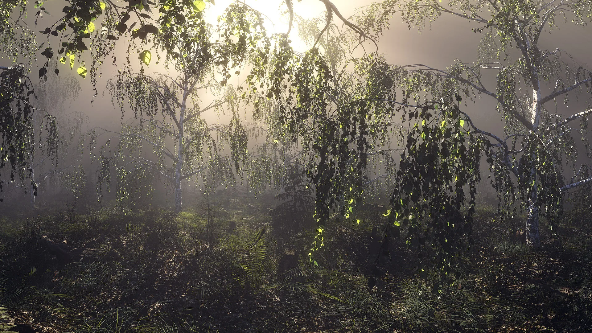 Conscious Existence - A Journey Within screenshot 4