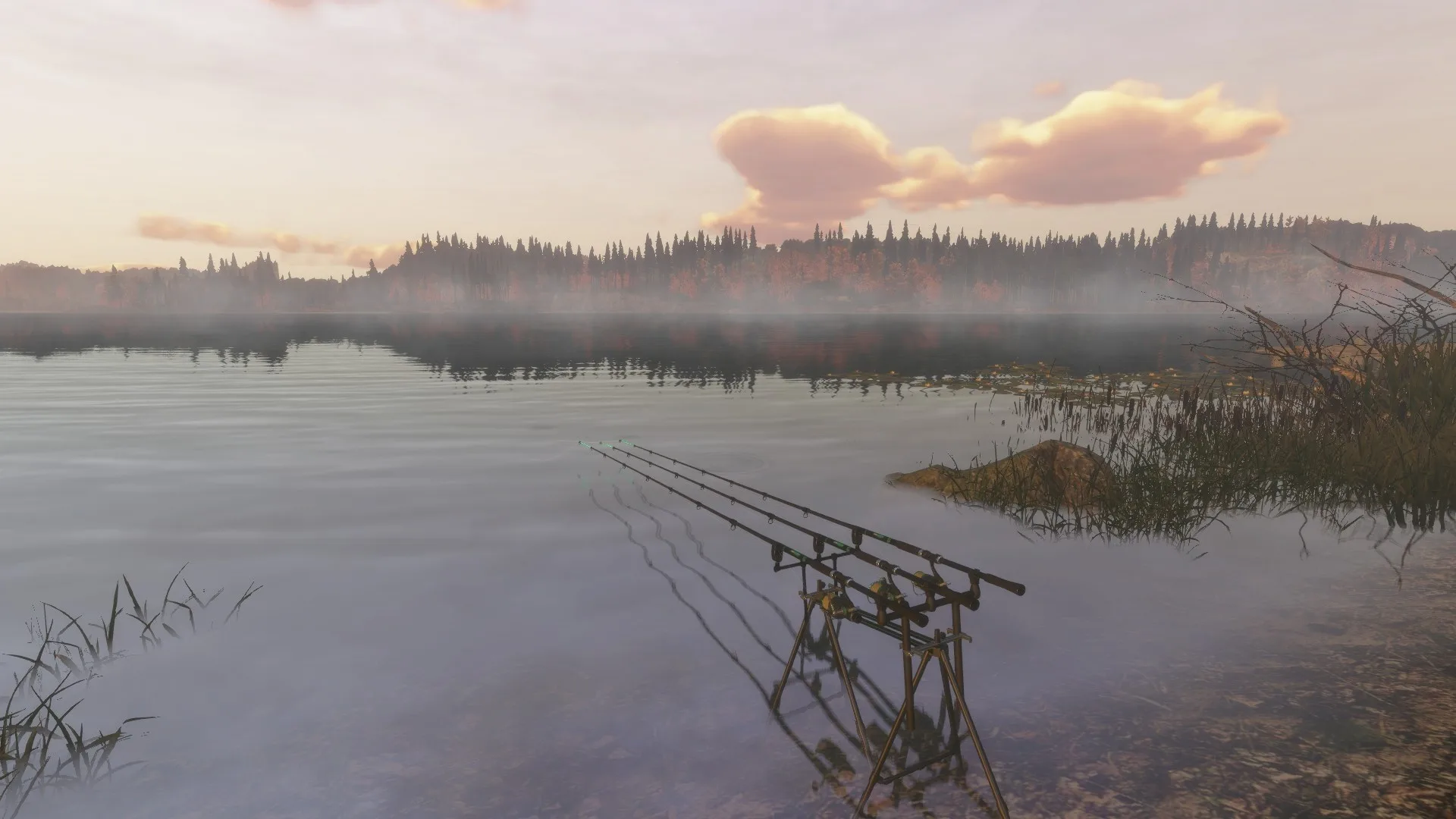 Fisher Online screenshot 2