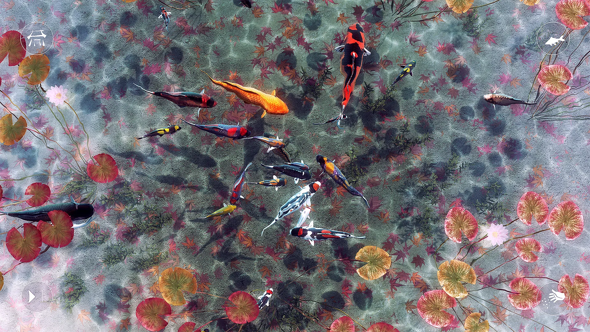 My Koi screenshot 5