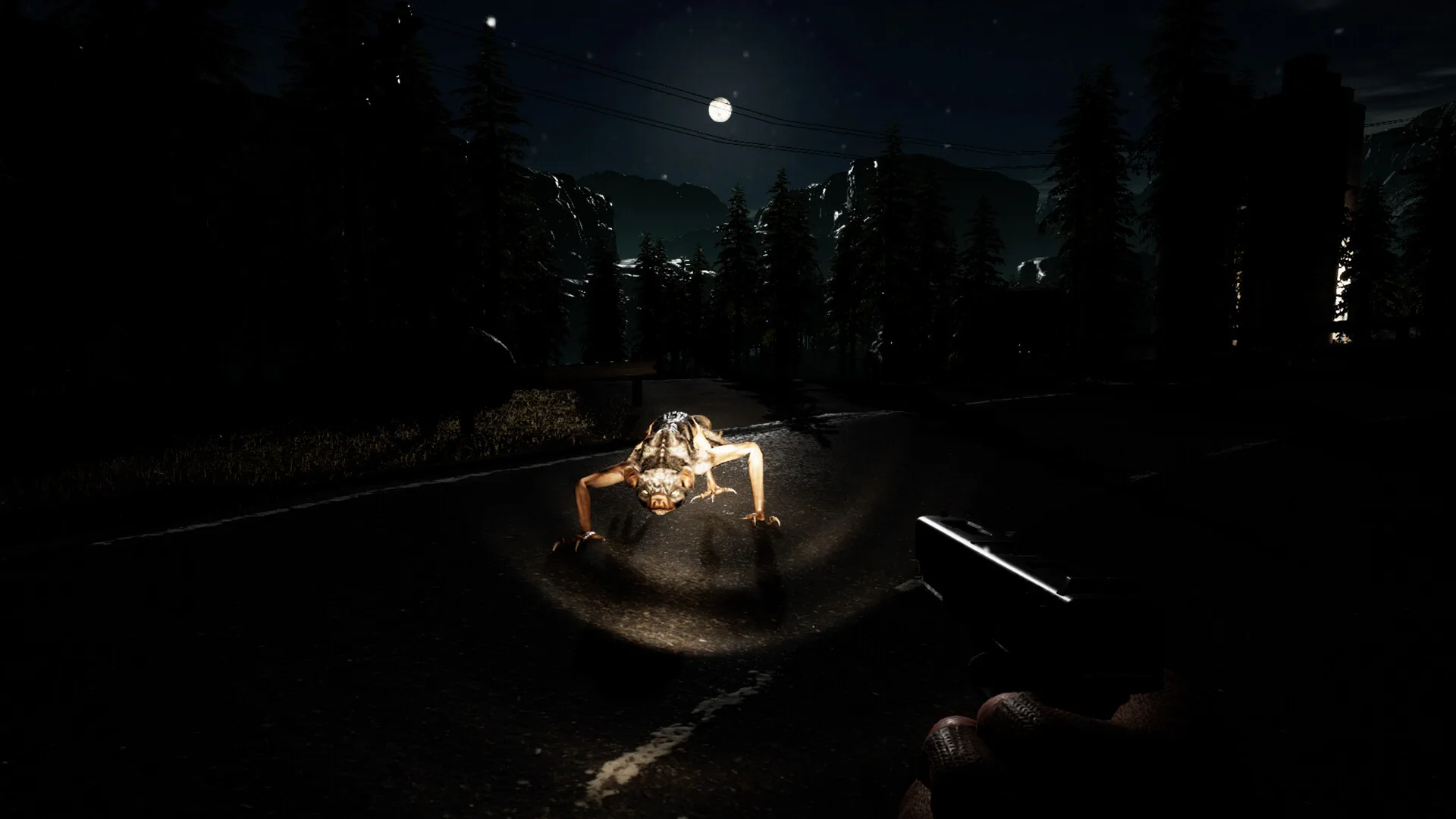 Anarchy: Wolf's law screenshot 3