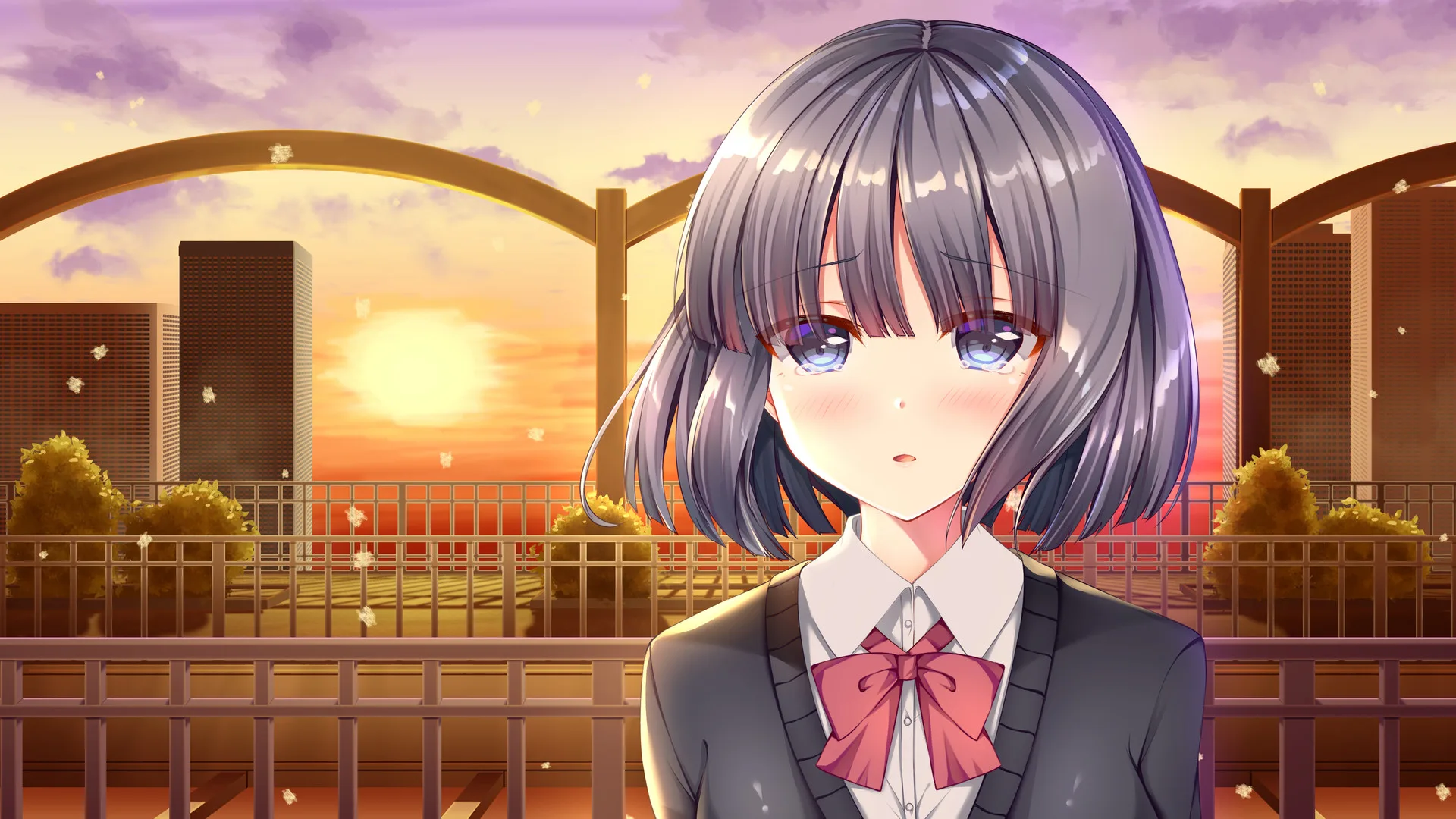 White Wings ホワイトウィングス screenshot 2