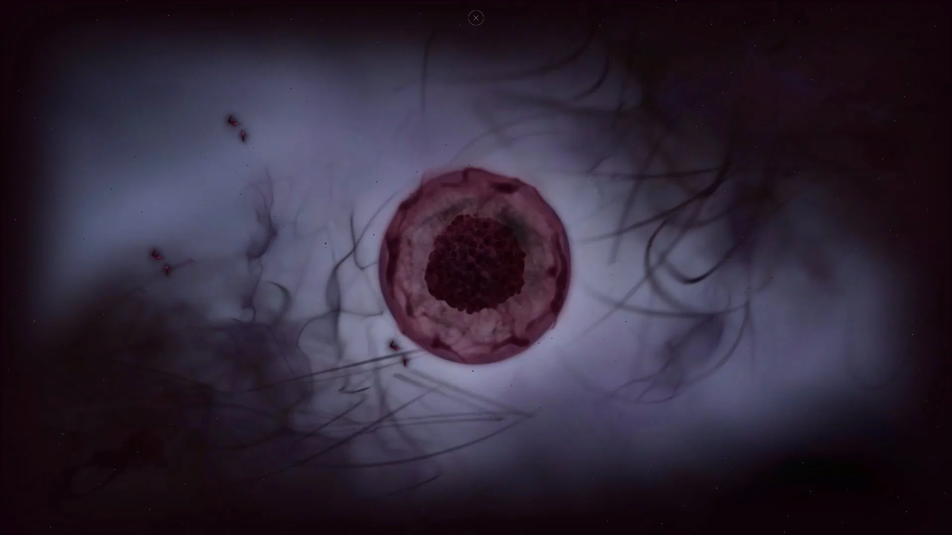 Cyrano Story screenshot 5