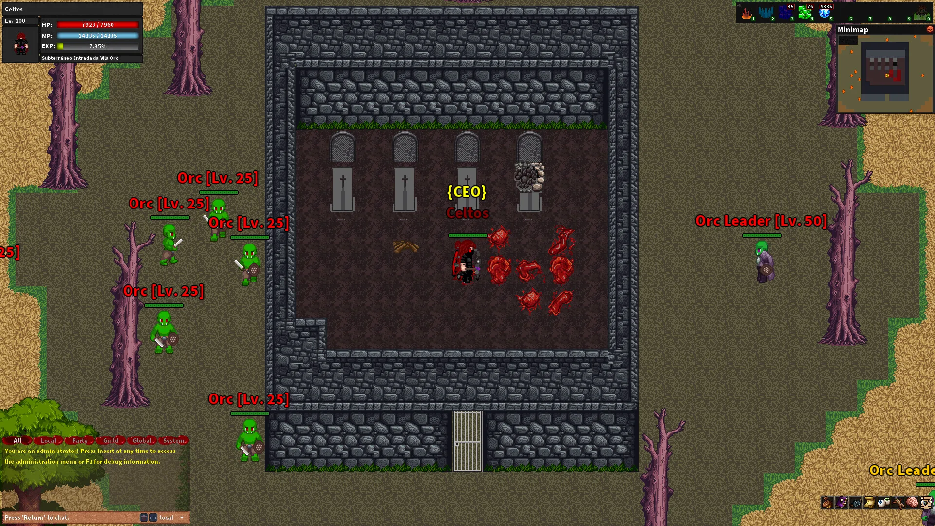Rebornia - MMORPG 2D screenshot 3