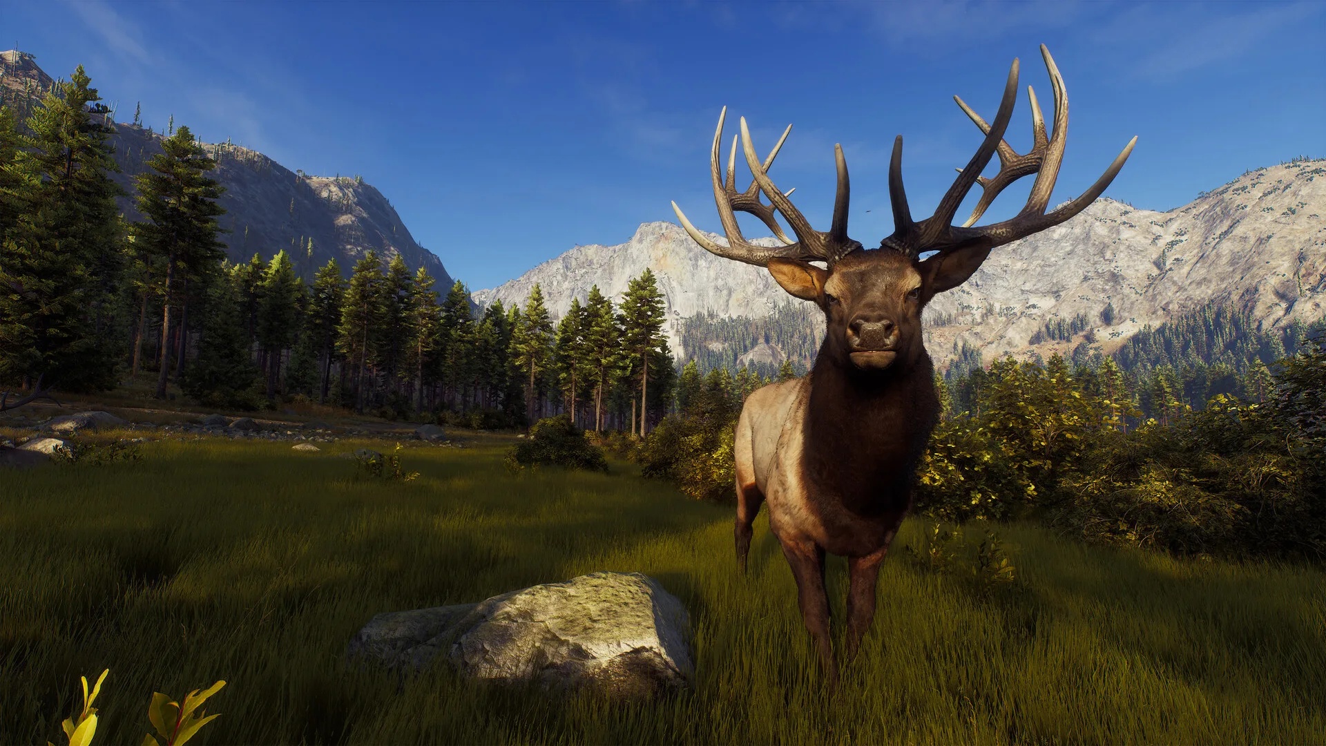 Way of the Hunter screenshot 1
