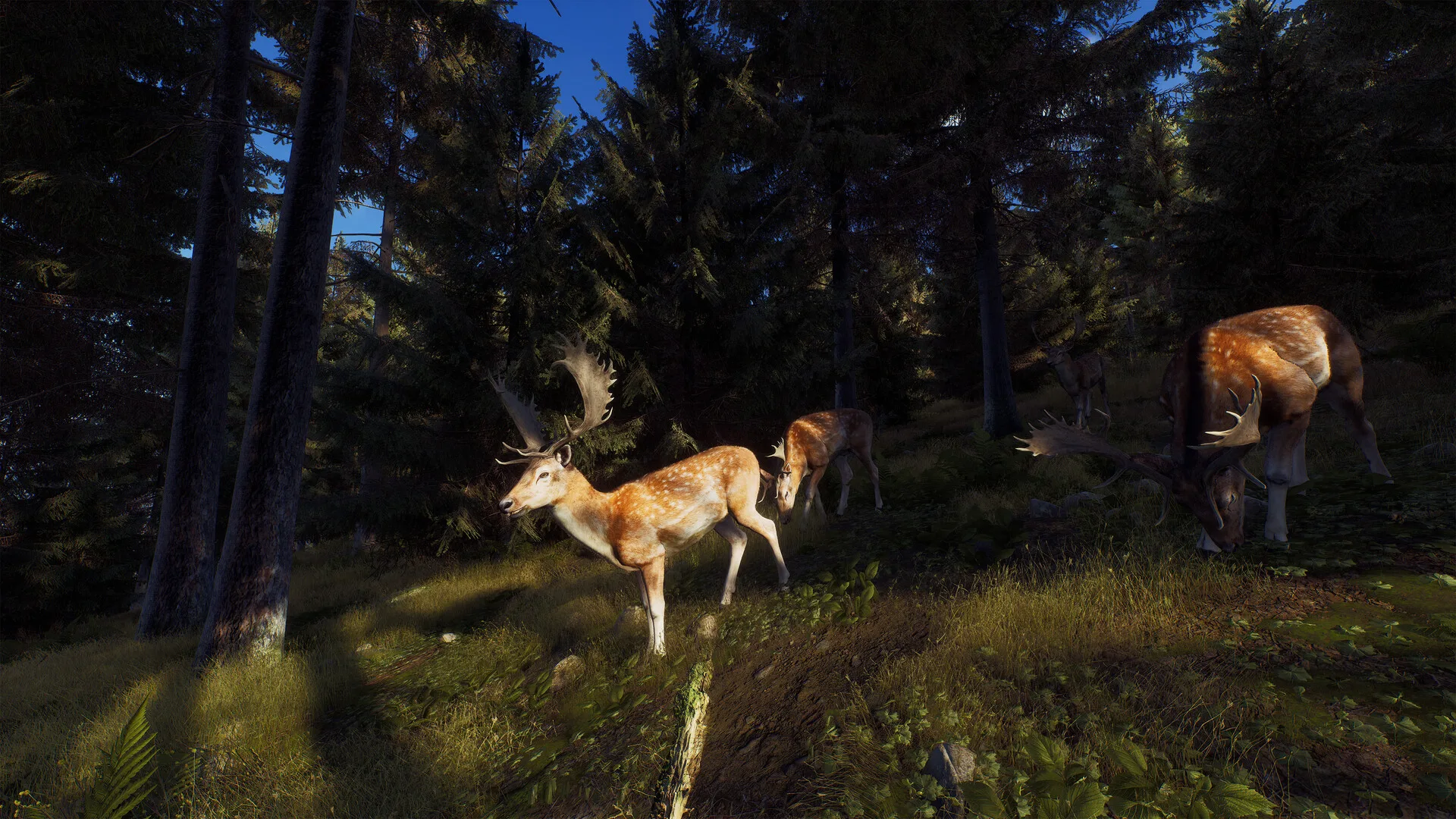 Way of the Hunter screenshot 2