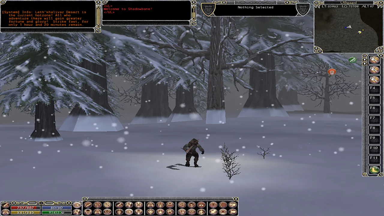 Shadowbane screenshot 1