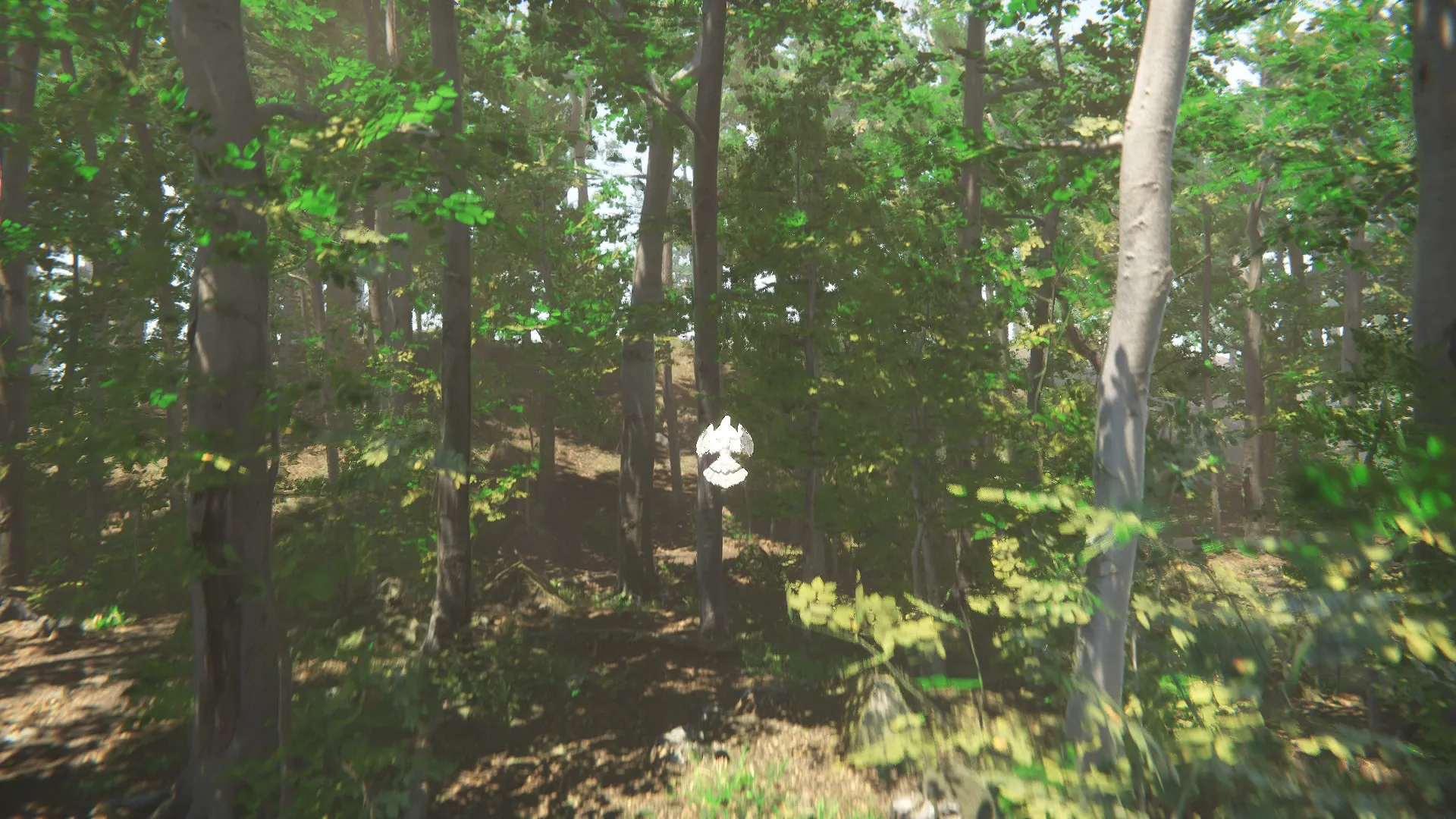 Bird screenshot 5
