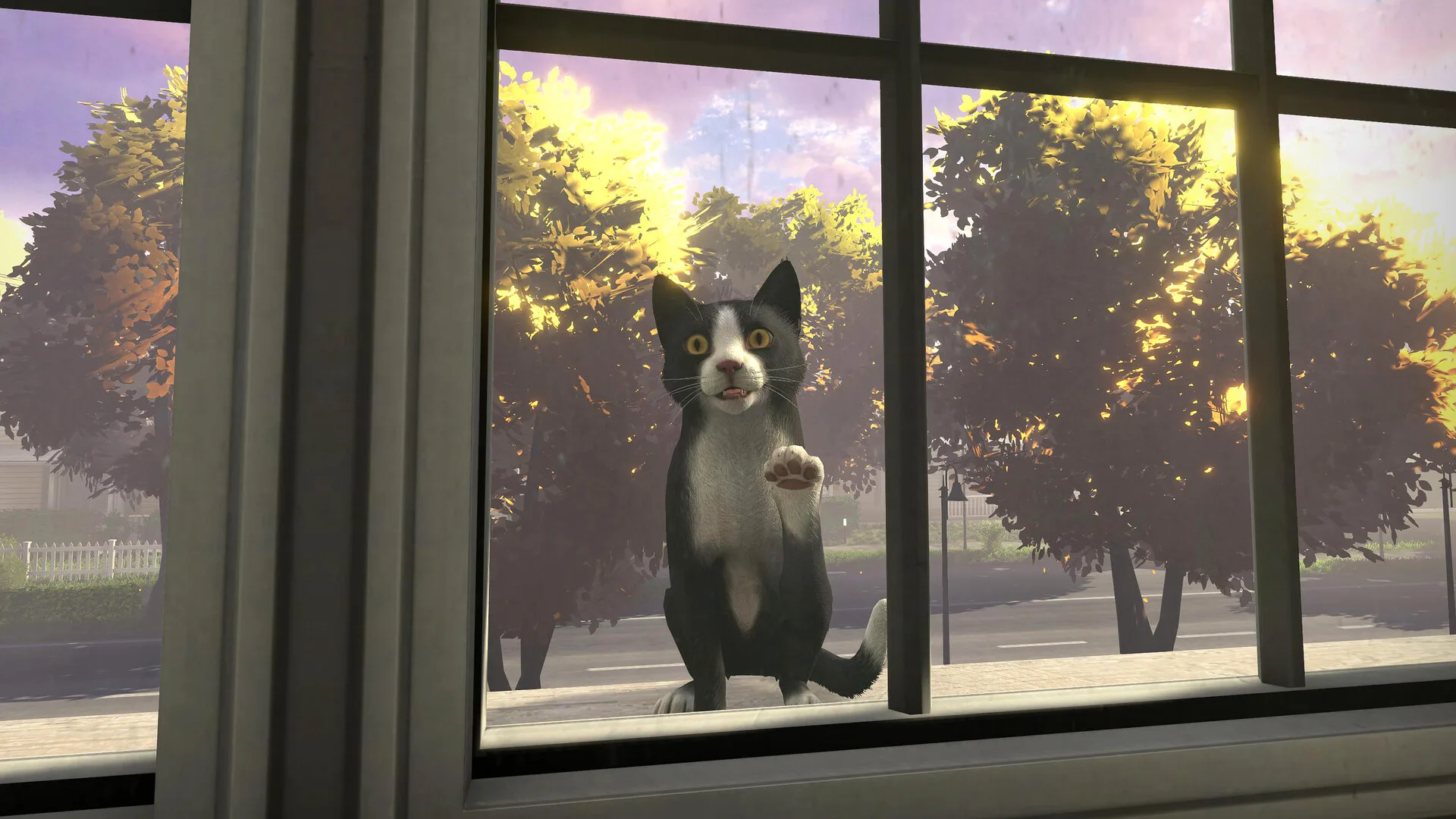 Copycat screenshot 4