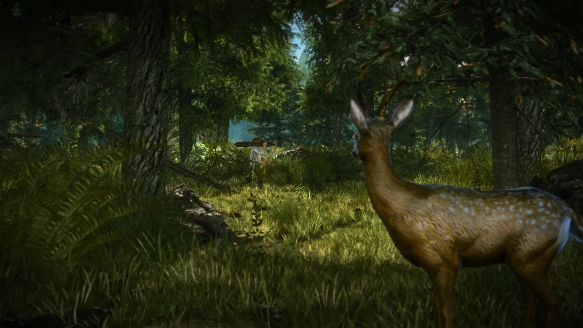 The Witcher 2: Assassins of Kings Enhanced Edition screenshot 2