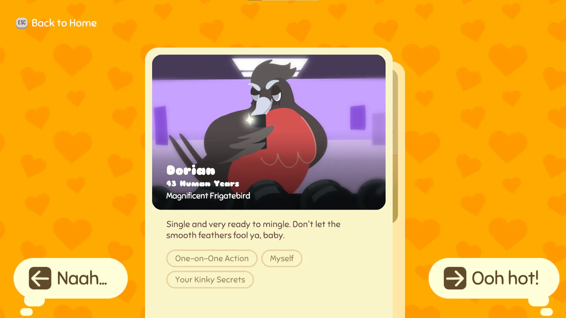 Lovebirb screenshot 5