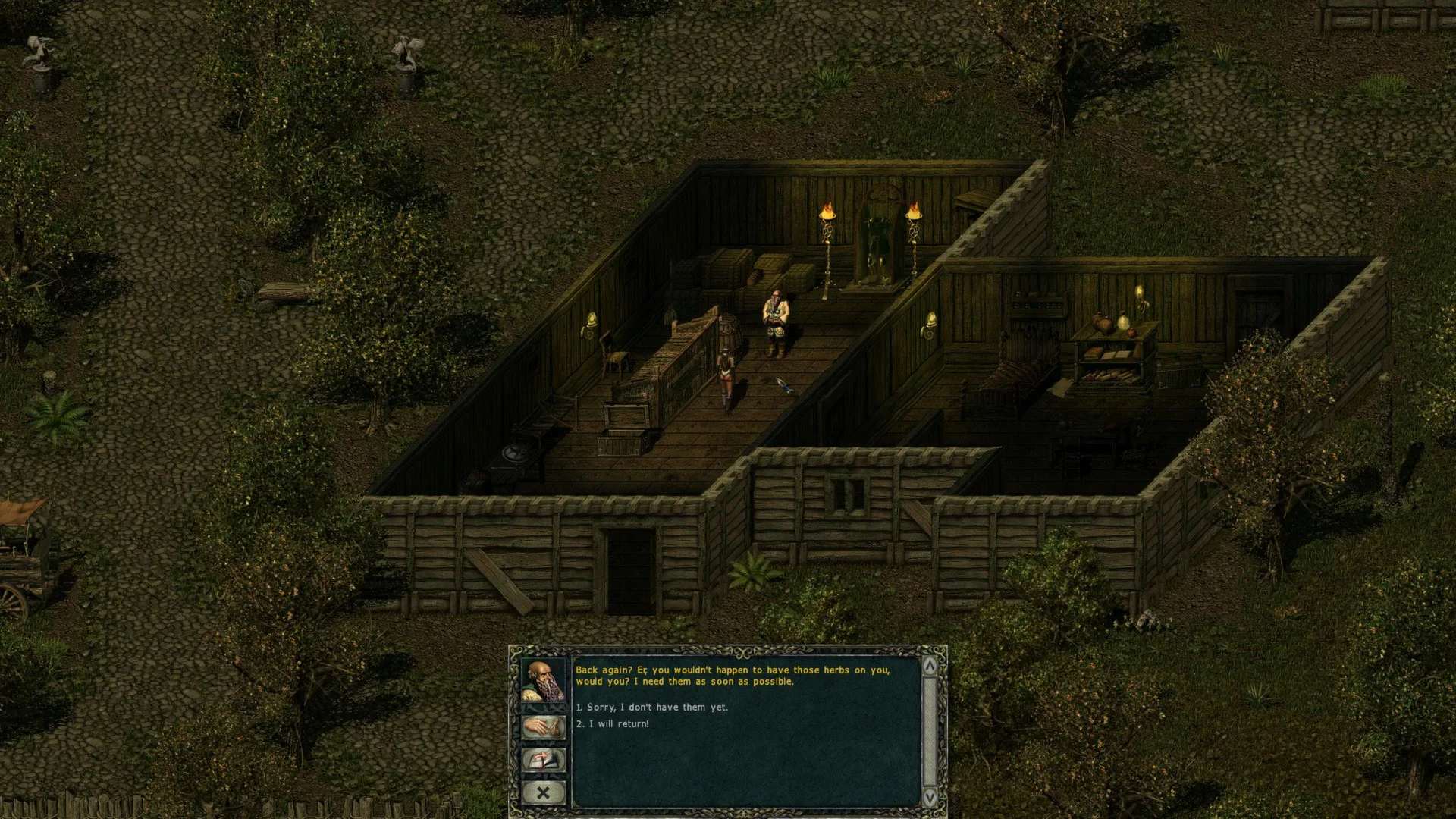 Divine Divinity screenshot 4
