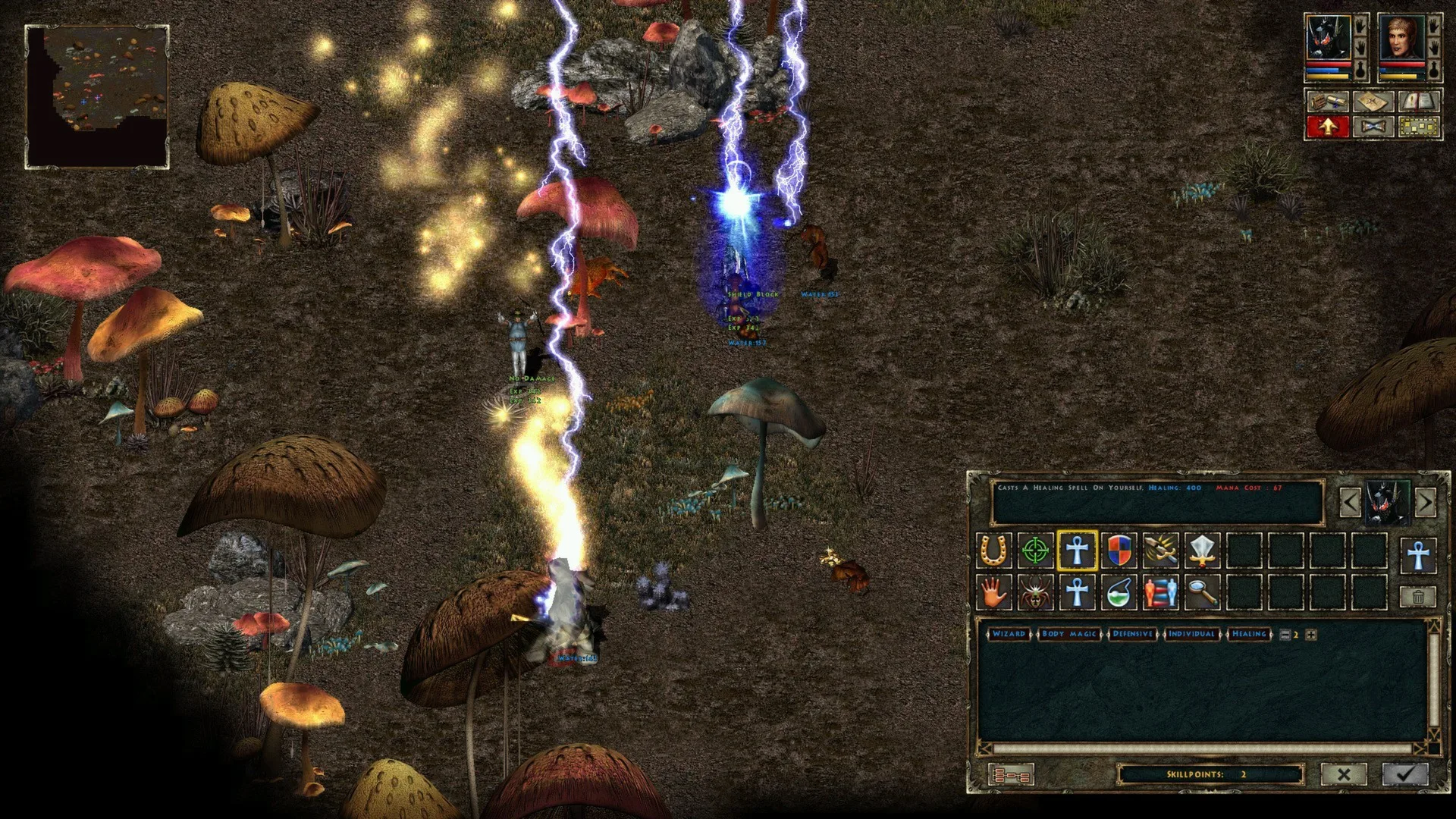 Beyond Divinity screenshot 3