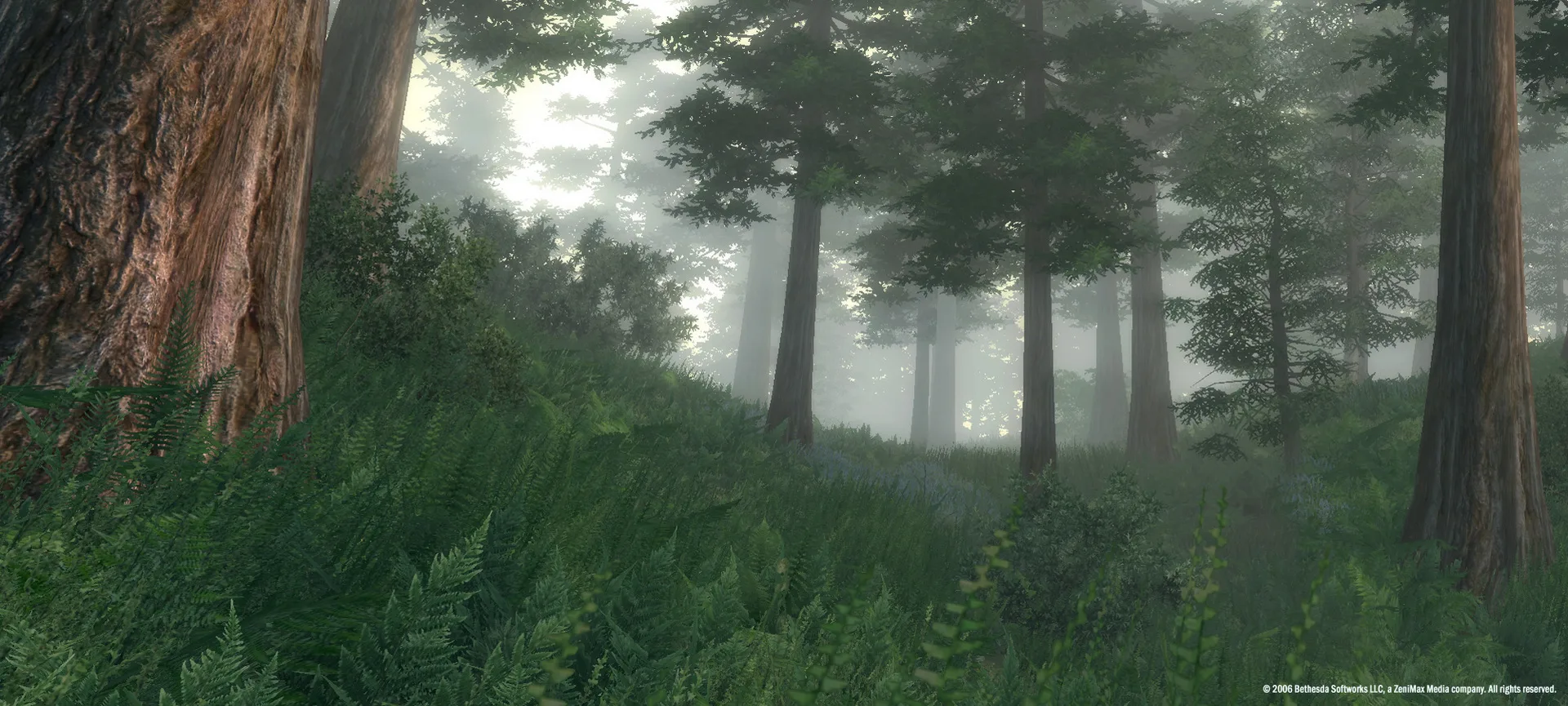 The Elder Scrolls IV: Oblivion® Game of the Year Edition (2009) screenshot 1