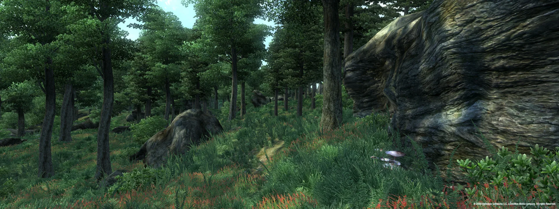 The Elder Scrolls IV: Oblivion® Game of the Year Edition (2009) screenshot 2