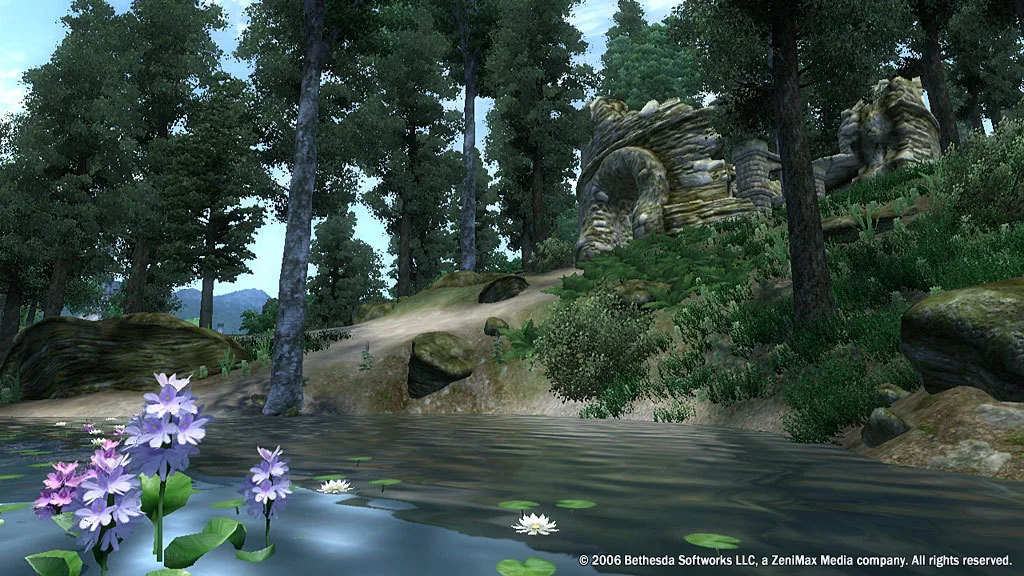 The Elder Scrolls IV: Oblivion® Game of the Year Edition (2009) screenshot 3