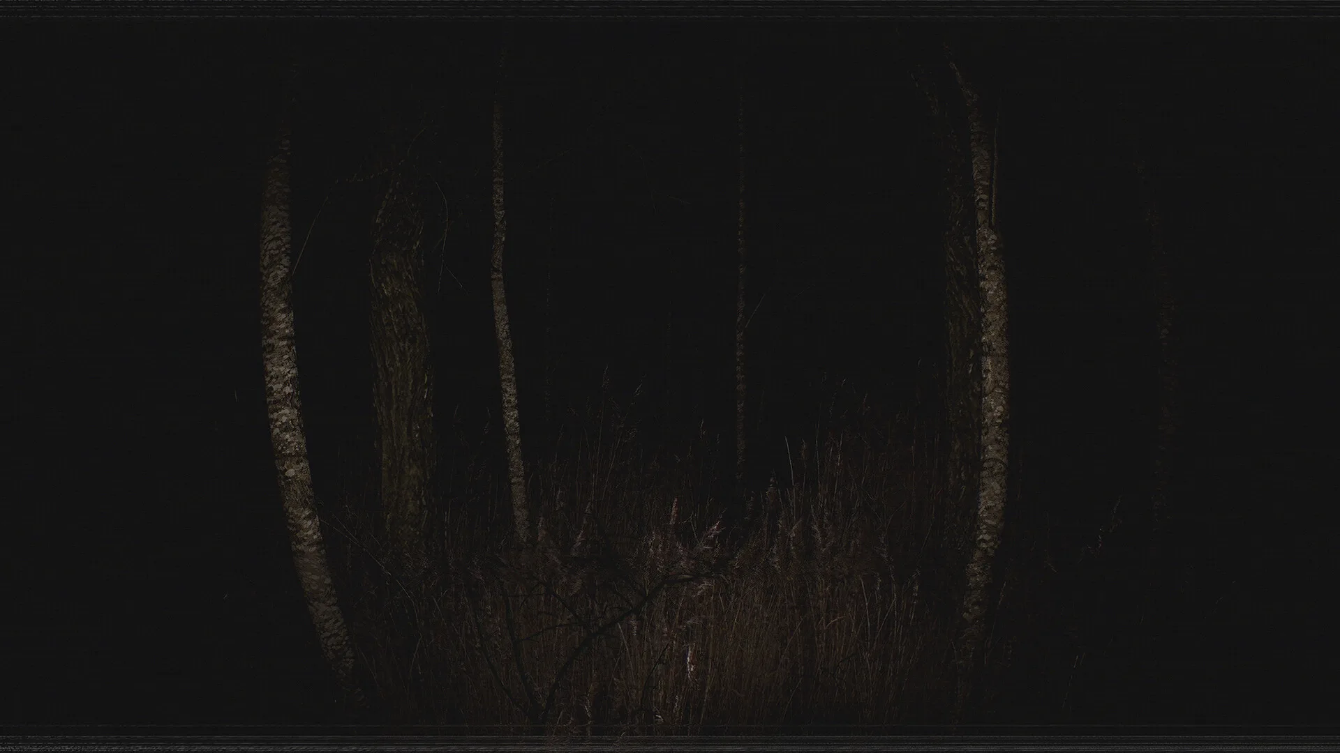 Paranormal VHS screenshot 1