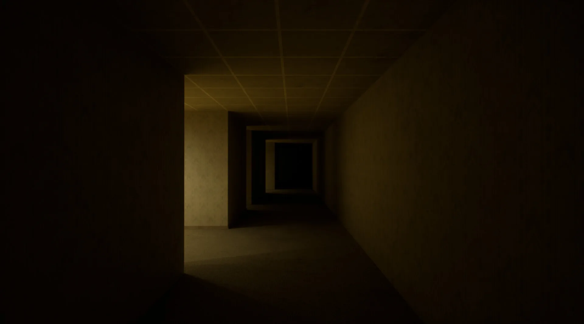 The Backrooms Deluxe screenshot 5