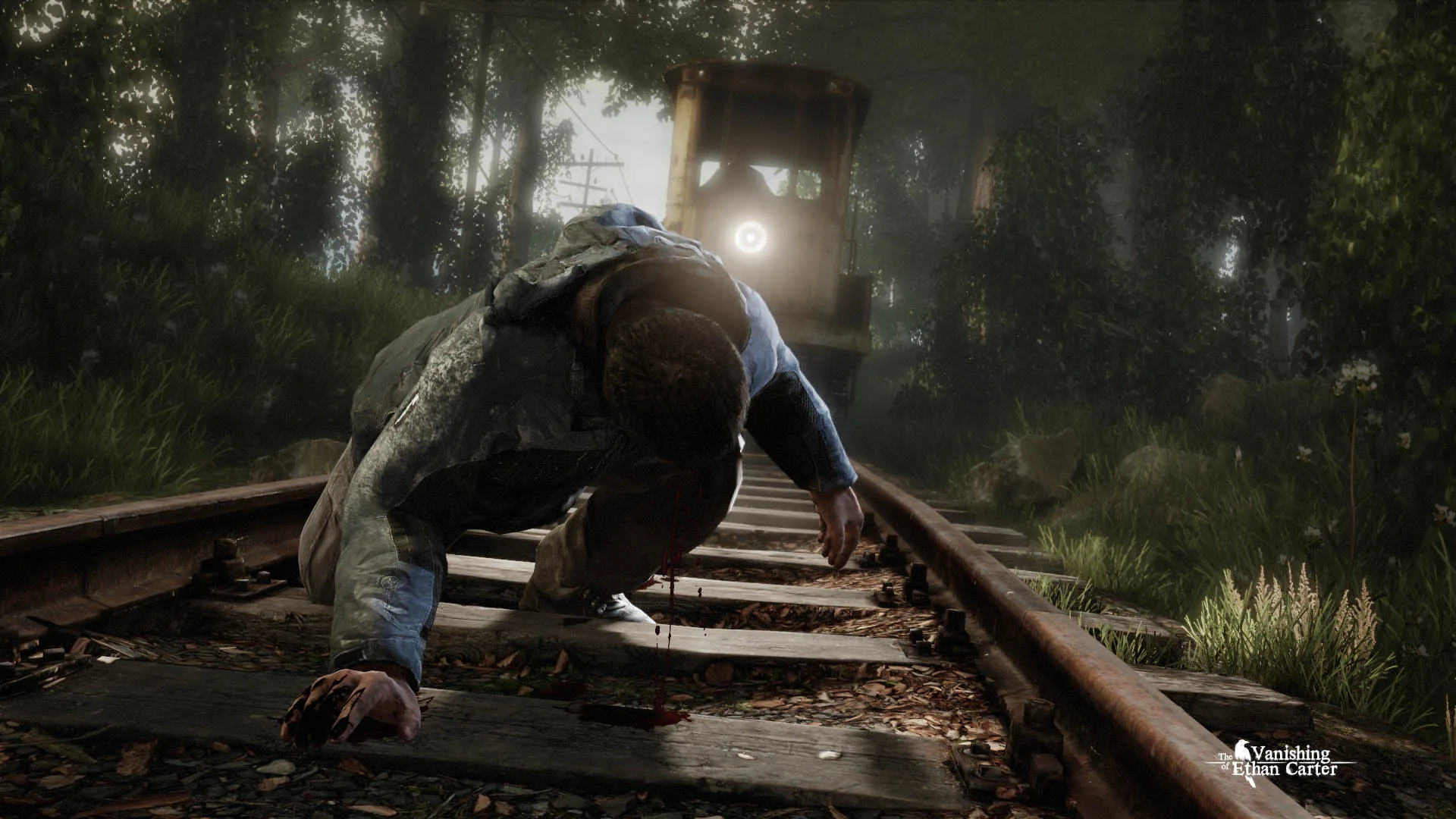 The Vanishing of Ethan Carter screenshot 1