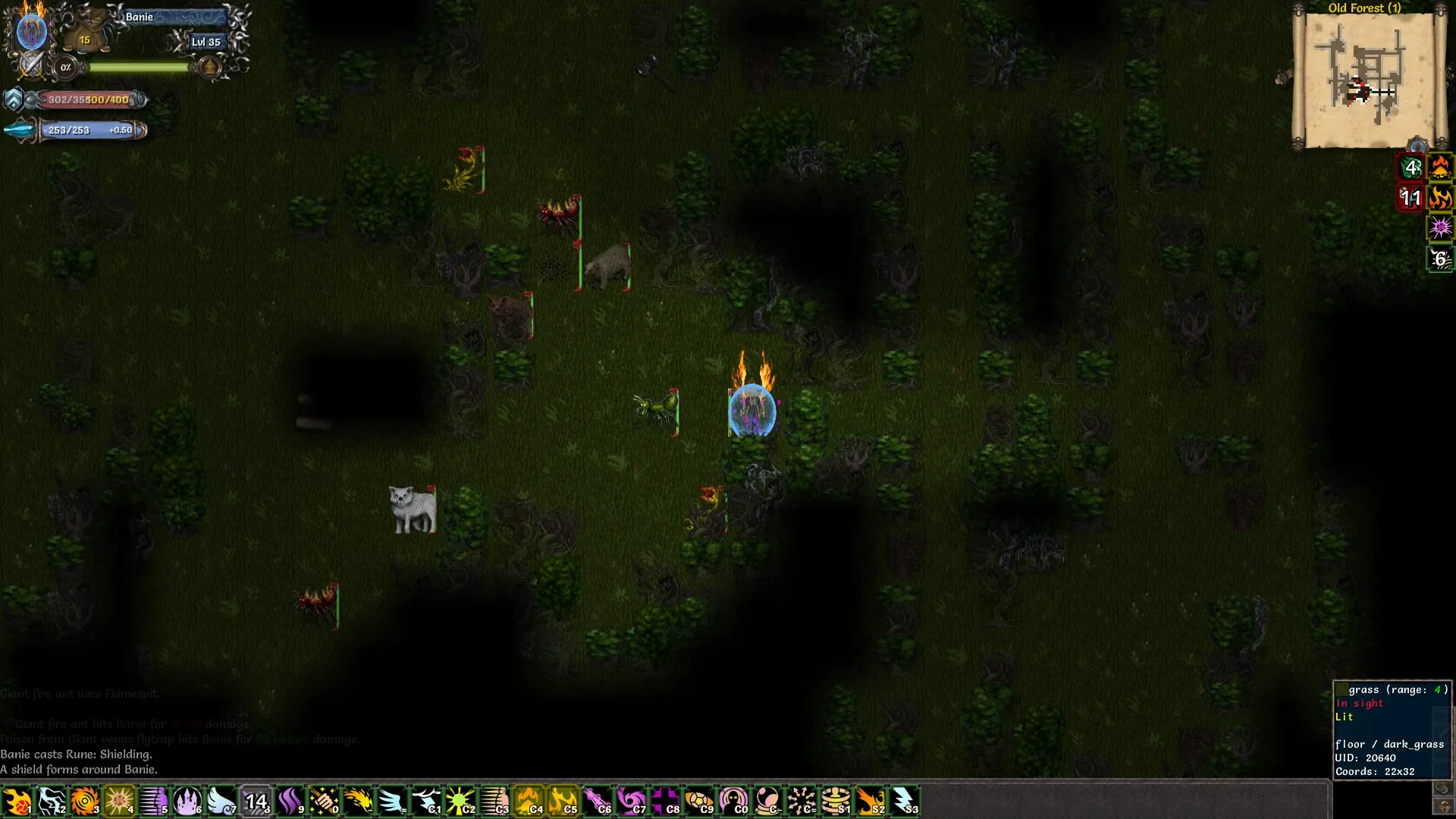 Tales of Maj'Eyal screenshot 5