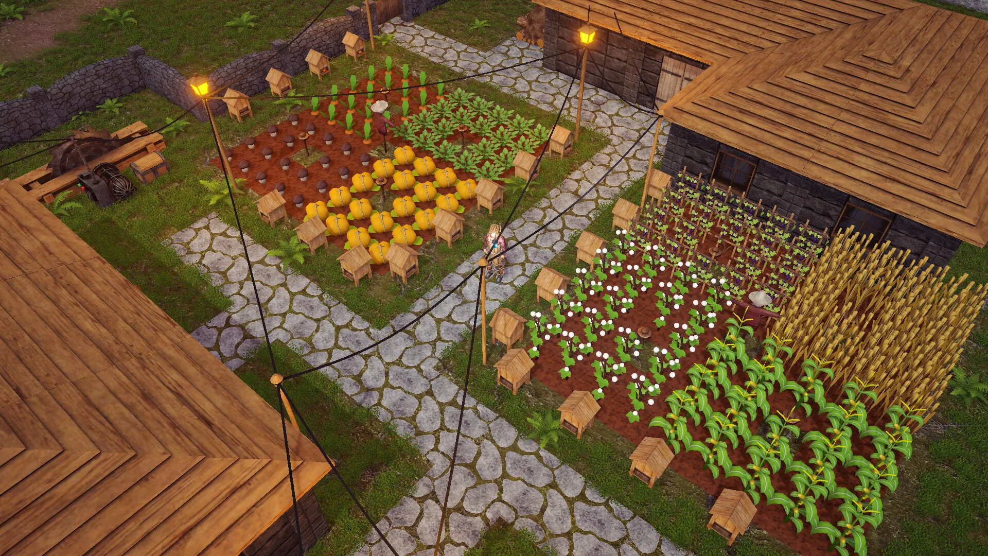 Backwoods Town screenshot 3