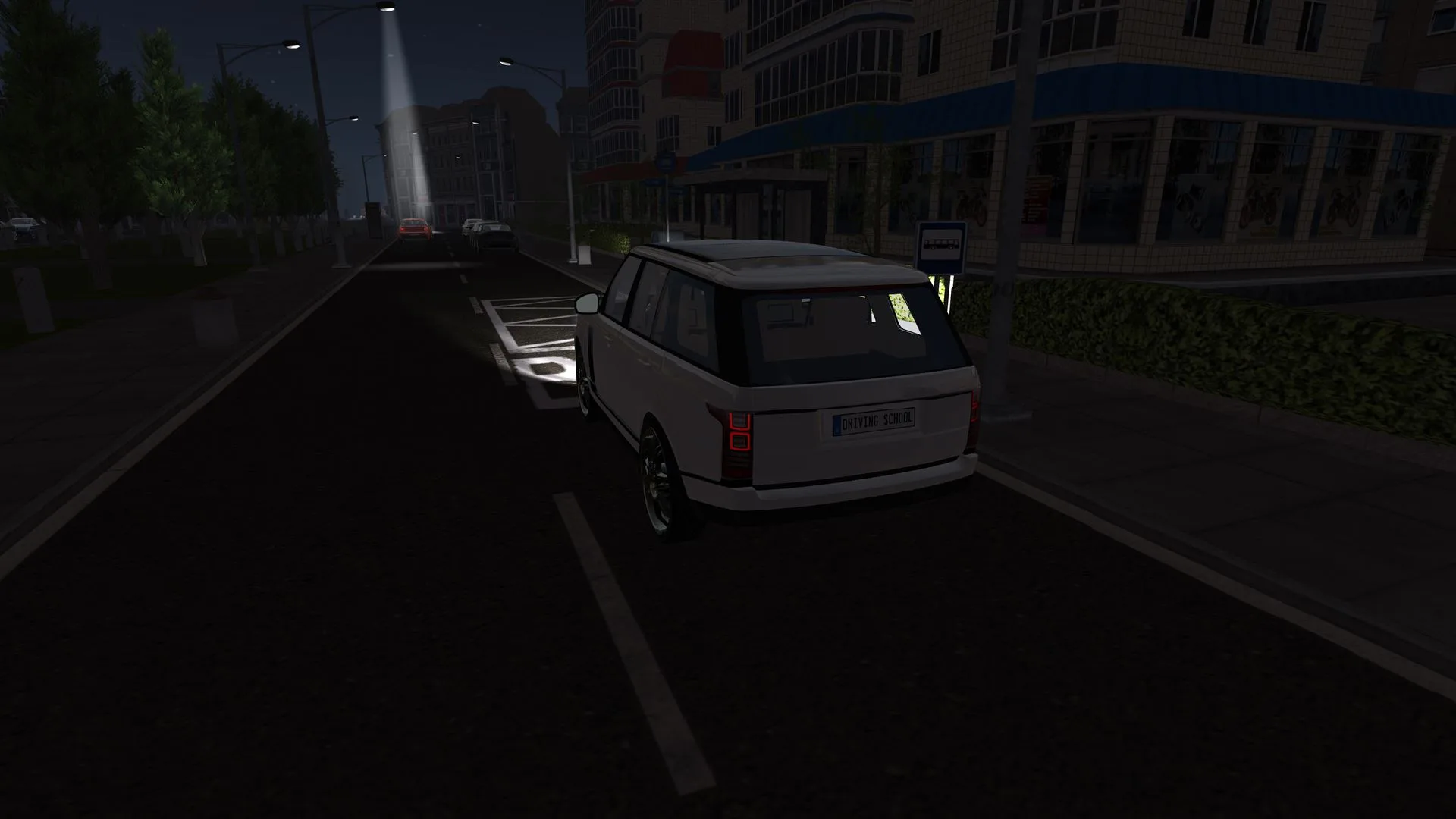 Driving School Simulator screenshot 2