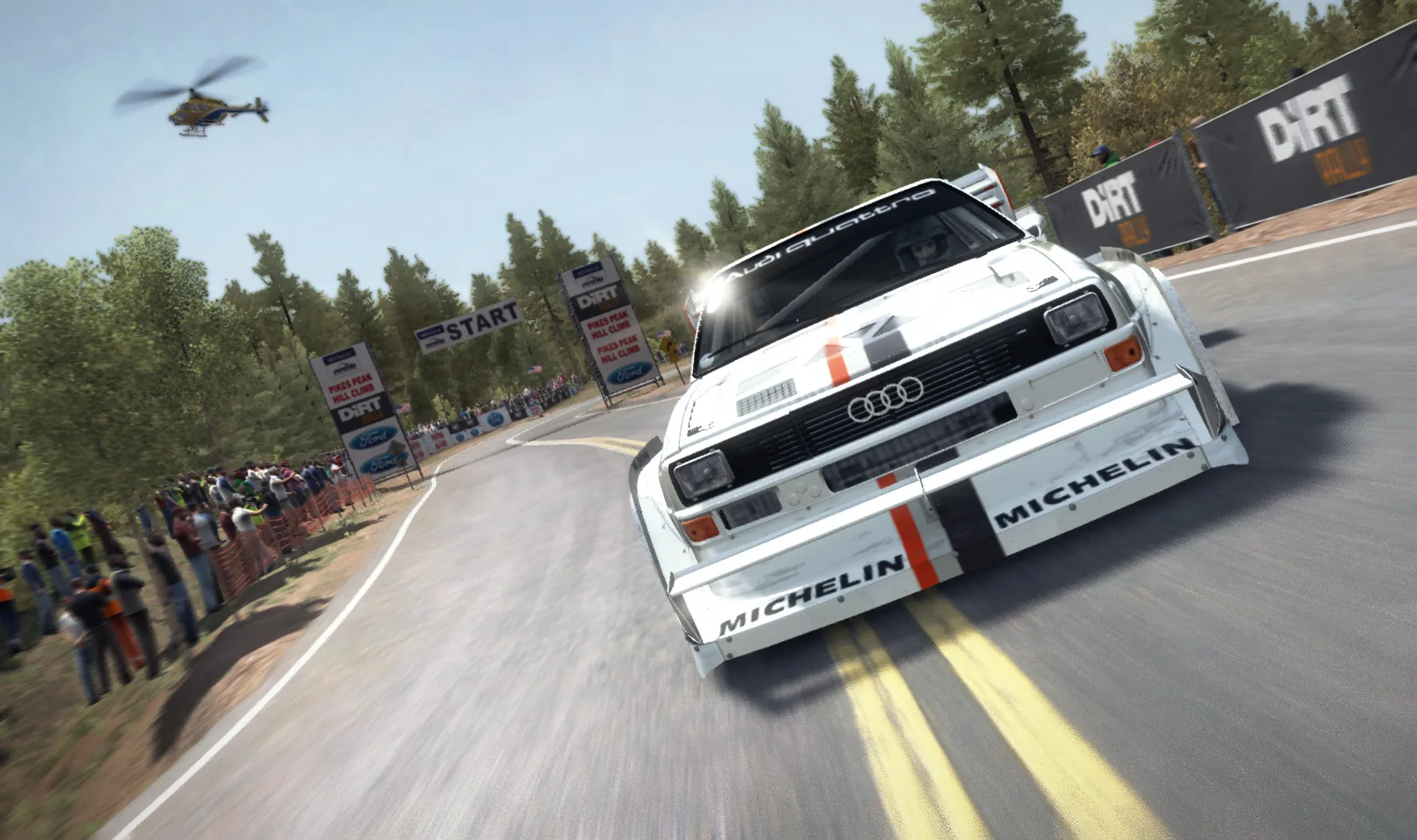 DiRT Rally screenshot 1