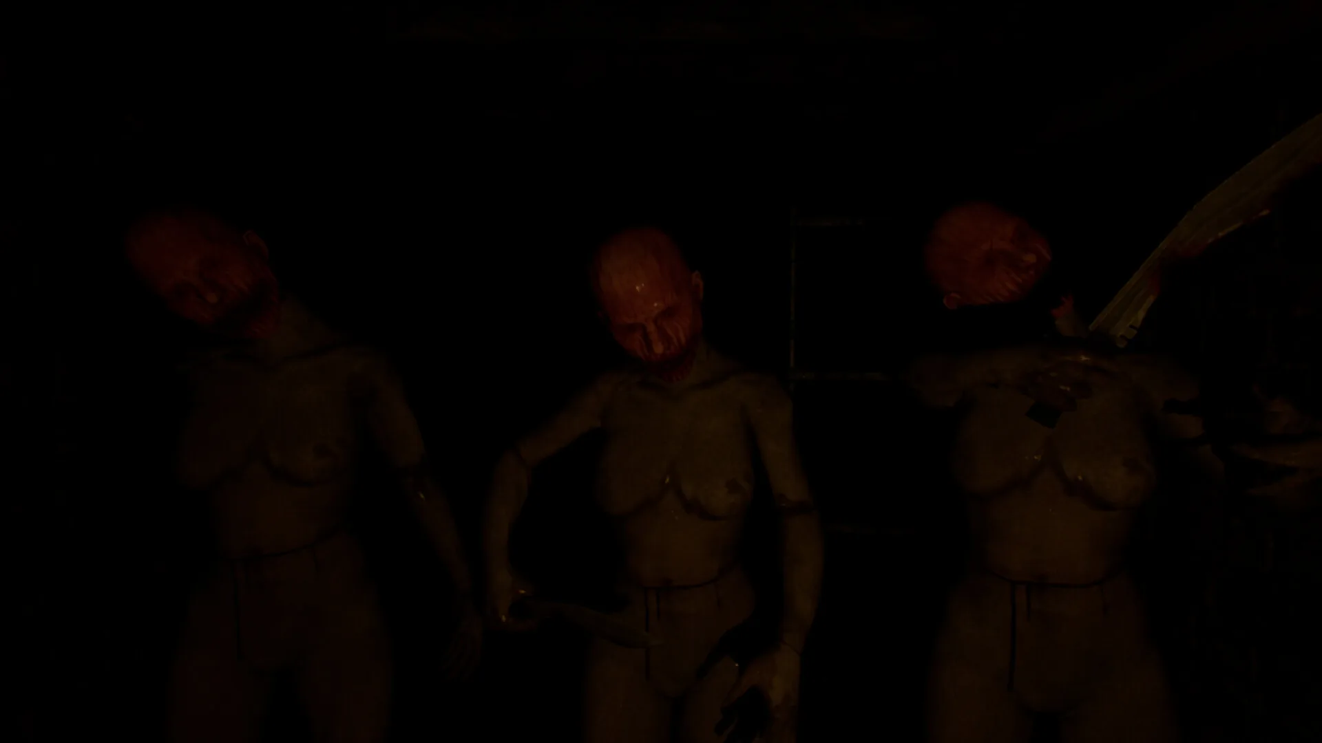 Unknown Host screenshot 4