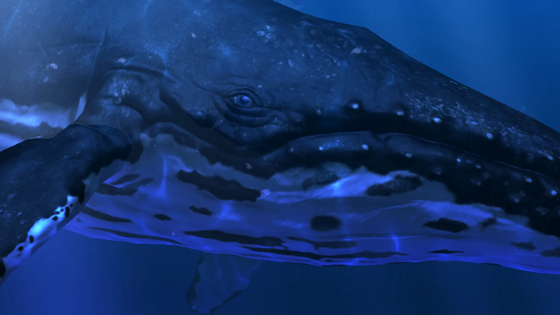 Ocean Rift screenshot 3