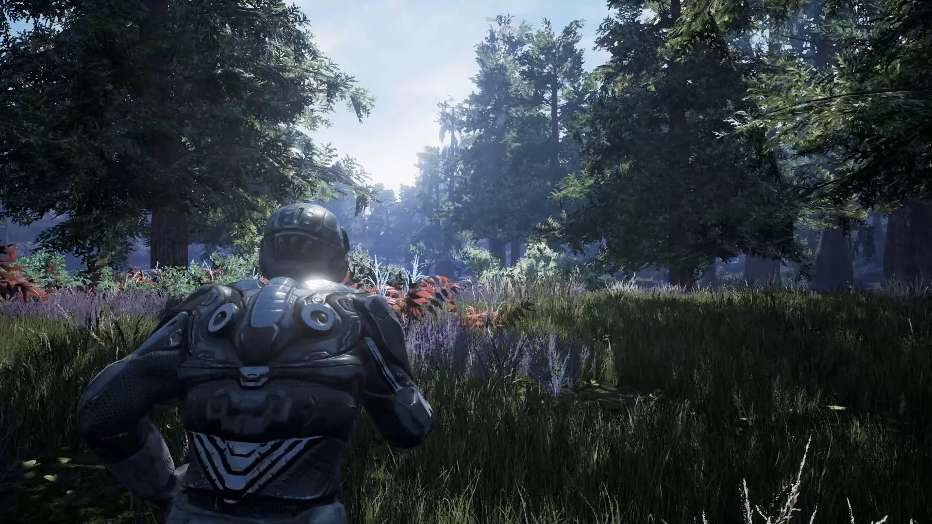 Fragmented screenshot 1