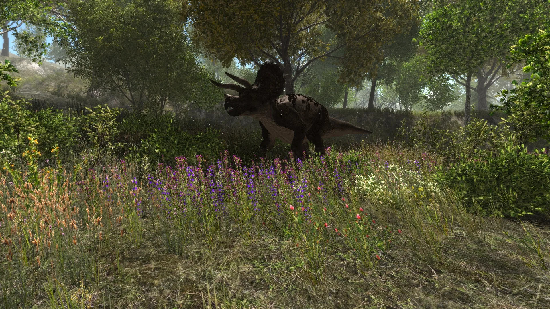 Dinosaur Forest screenshot 5