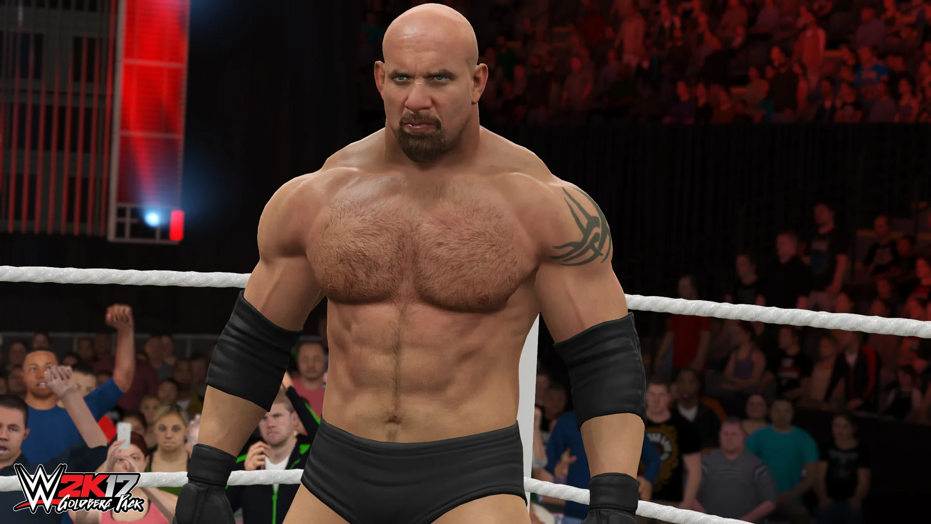 WWE 2K17 screenshot 2