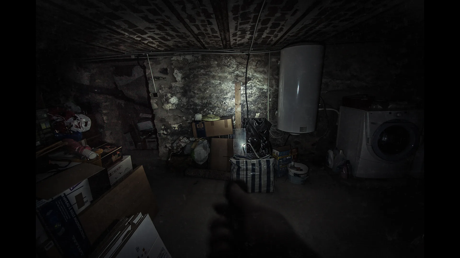 The Fan screenshot 5