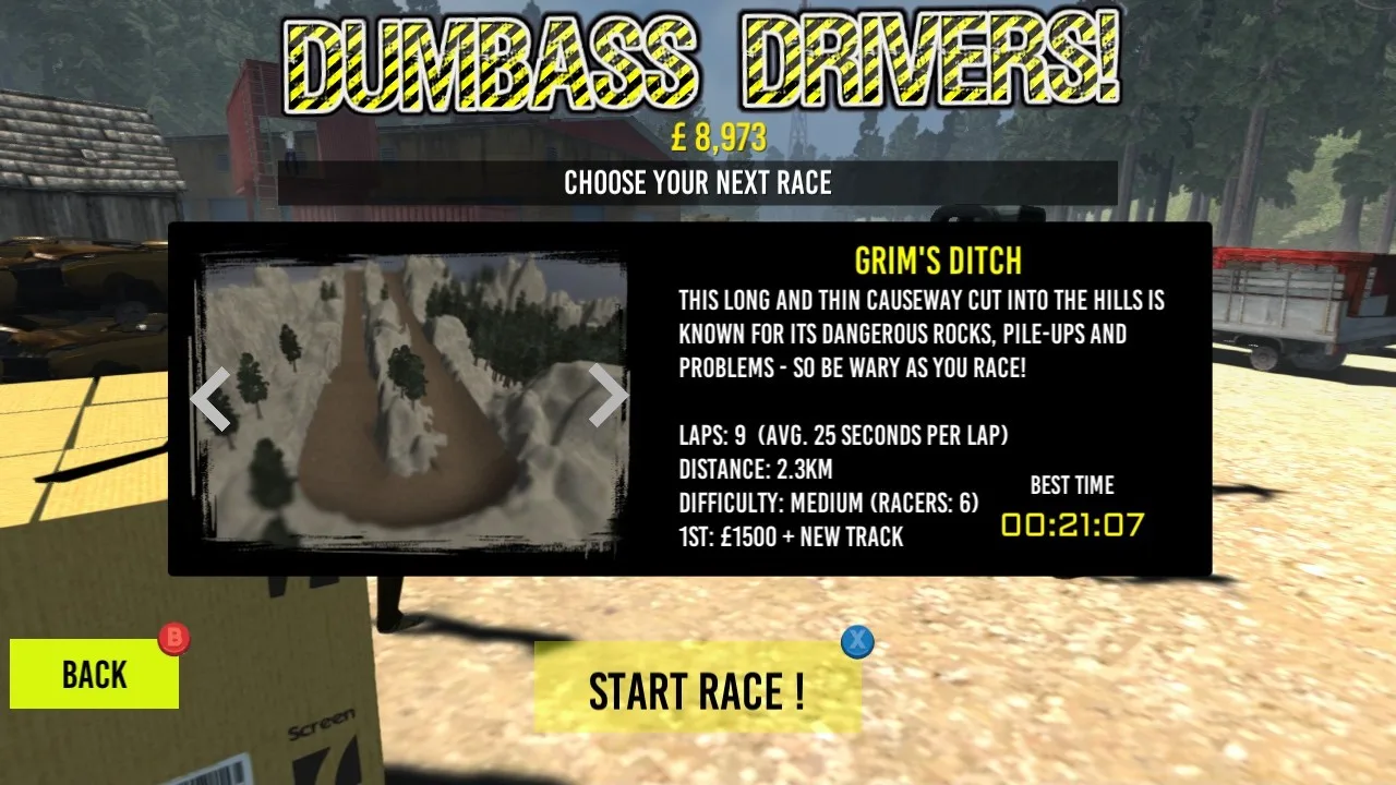 Dumbass Drivers! screenshot 5