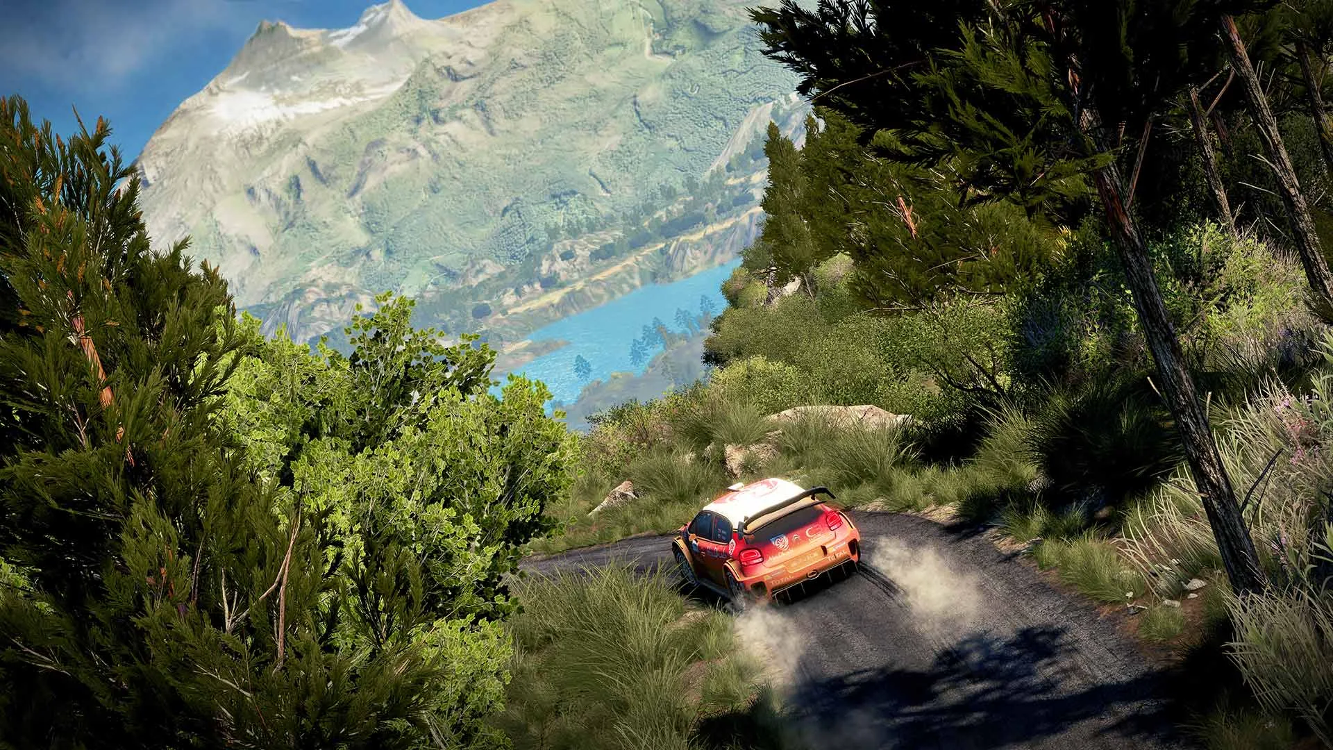 WRC 7 FIA World Rally Championship screenshot 3