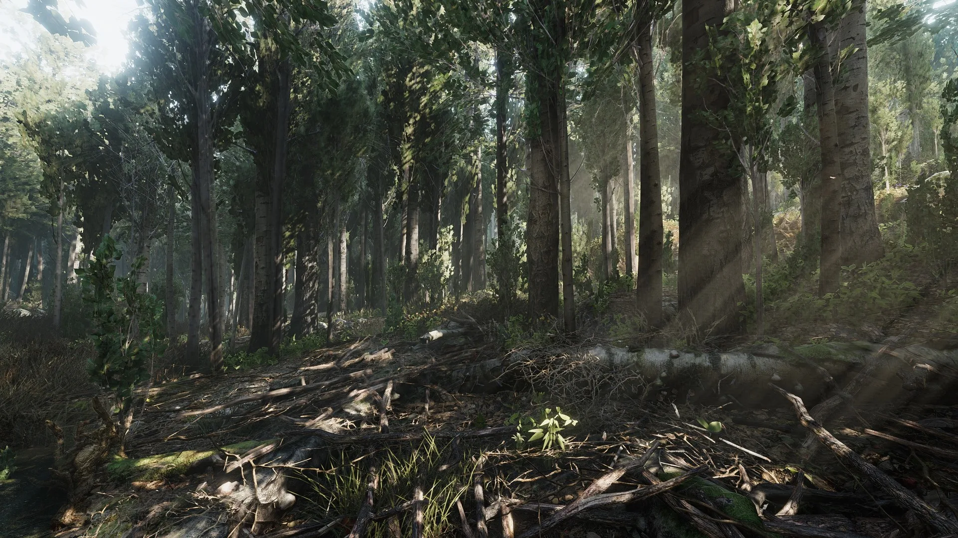 Heat screenshot 4