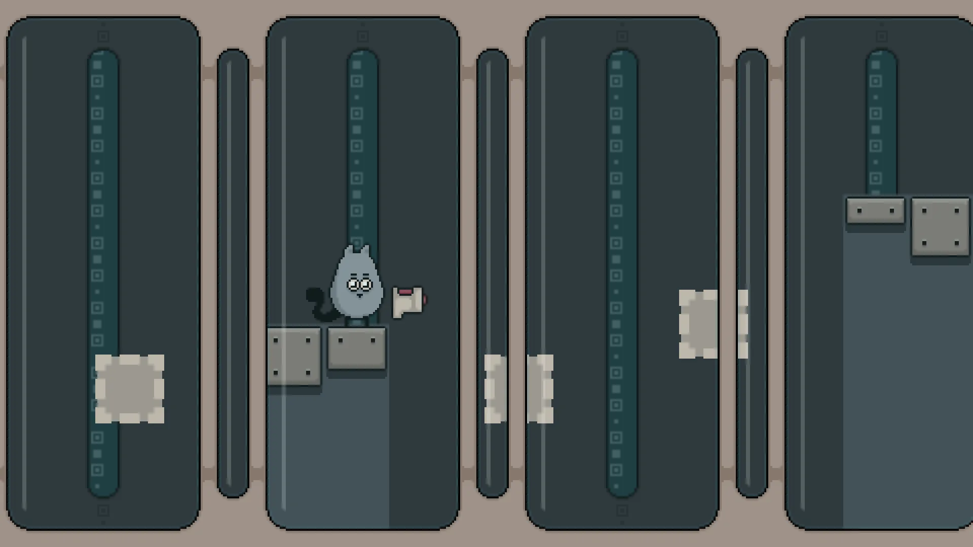 Gray Cat screenshot 1