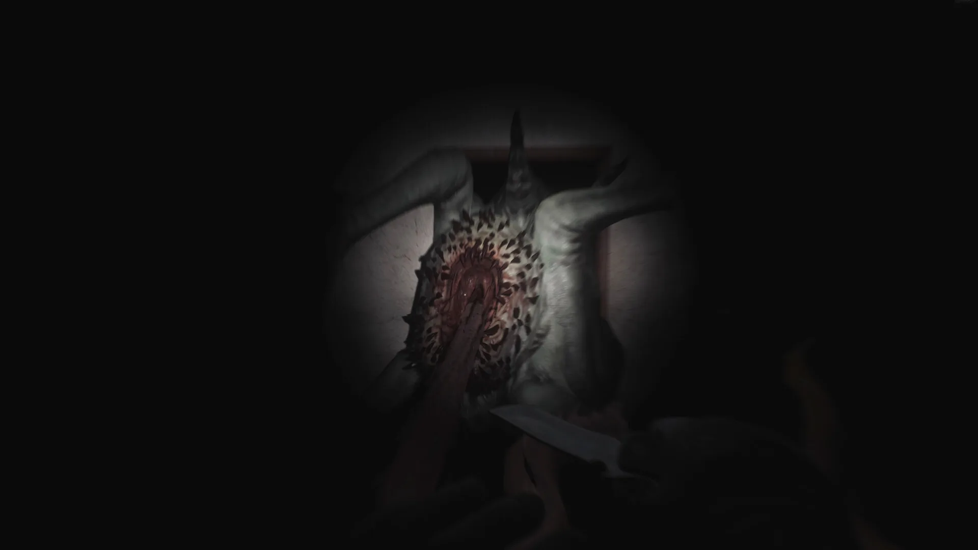 SCP: 5K screenshot 3