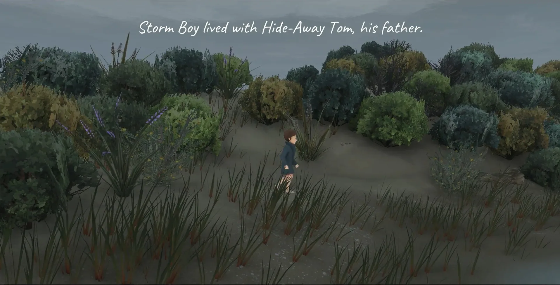 Storm Boy screenshot 2
