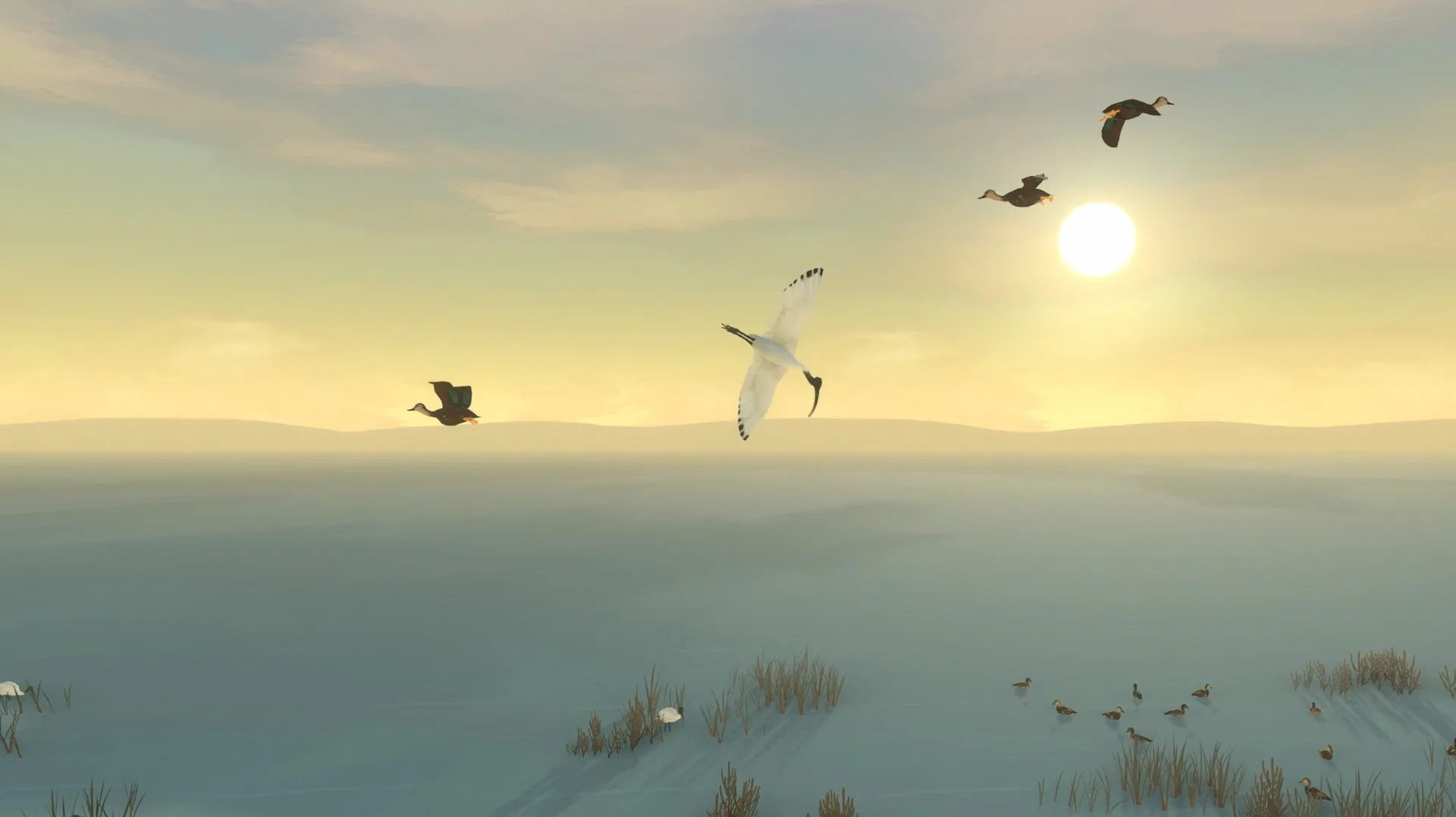 Storm Boy screenshot 4