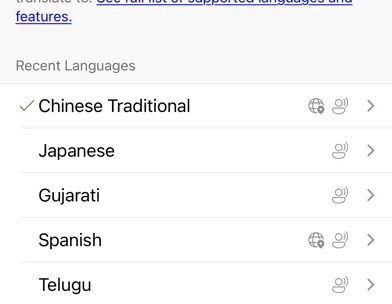 Microsoft Translator screenshot 1