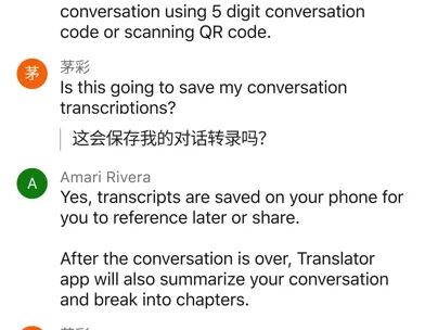 Microsoft Translator screenshot 2