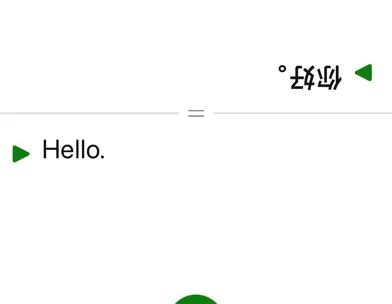 Microsoft Translator screenshot 3