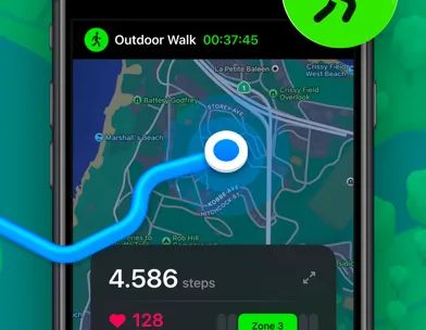 StepsApp Pedometer screenshot 2
