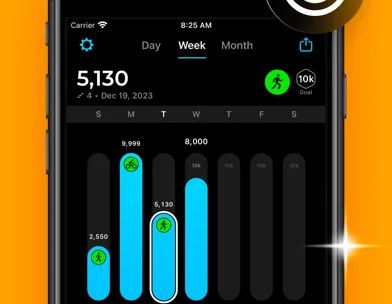 StepsApp Pedometer screenshot 4