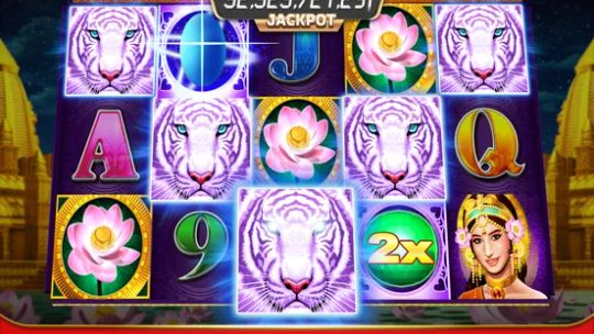 myKONAMI® Casino Slot Machines screenshot 3