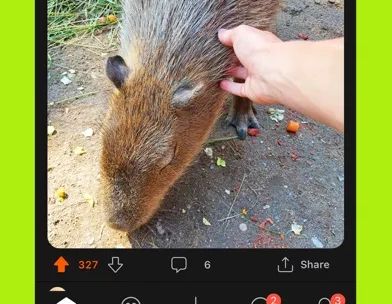 Reddit screenshot 5