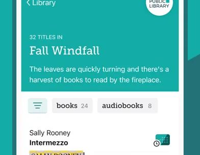 Libby, la app de bibliotecas screenshot 3