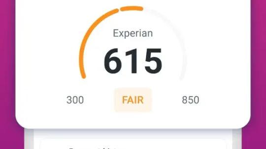 Experian® screenshot 2