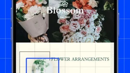 Universe Website Builder screenshot 2